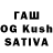 Каннабис White Widow Sasha Webster