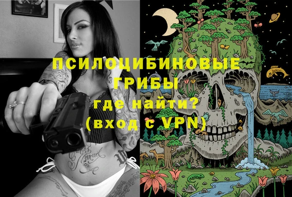 бошки Алексеевка