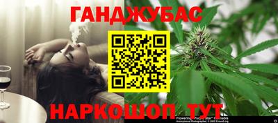 прущие грибы Можайск