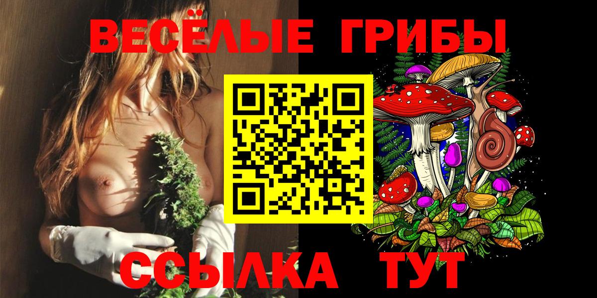 Псилоцибиновые грибы MAGIC MUSHROOMS  Вход с VPN  Южно-Сахалинск 